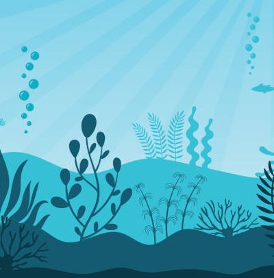 saltwater aquariums