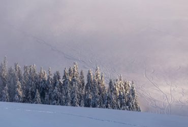 best heli skiing in alaska