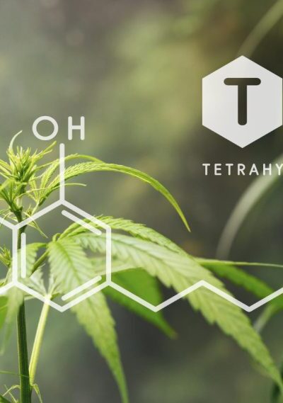 best THCA flower eighths