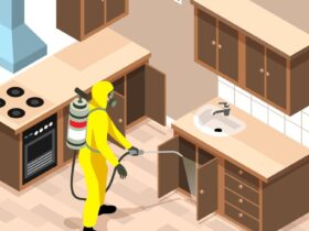 cost of pest control services